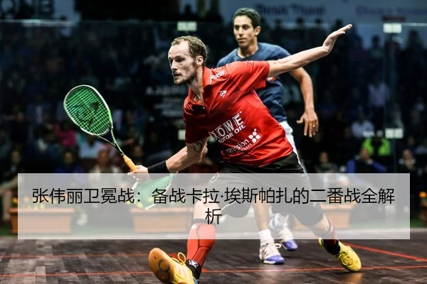zhang-wei-li-wei-mian-zhan-bei-zhan-ka-la-ai-si-pa-zha-de-er-fan-zhan-quan-jie-xi-2-552.jpg